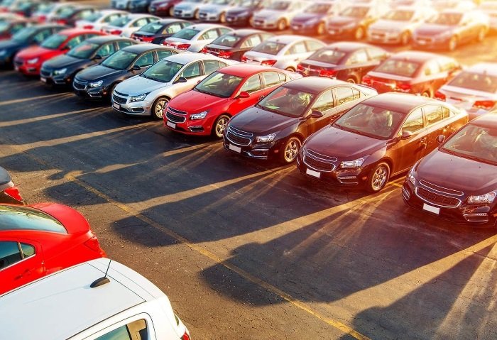 Decisions on Importing Vehicles for People with Disabilities