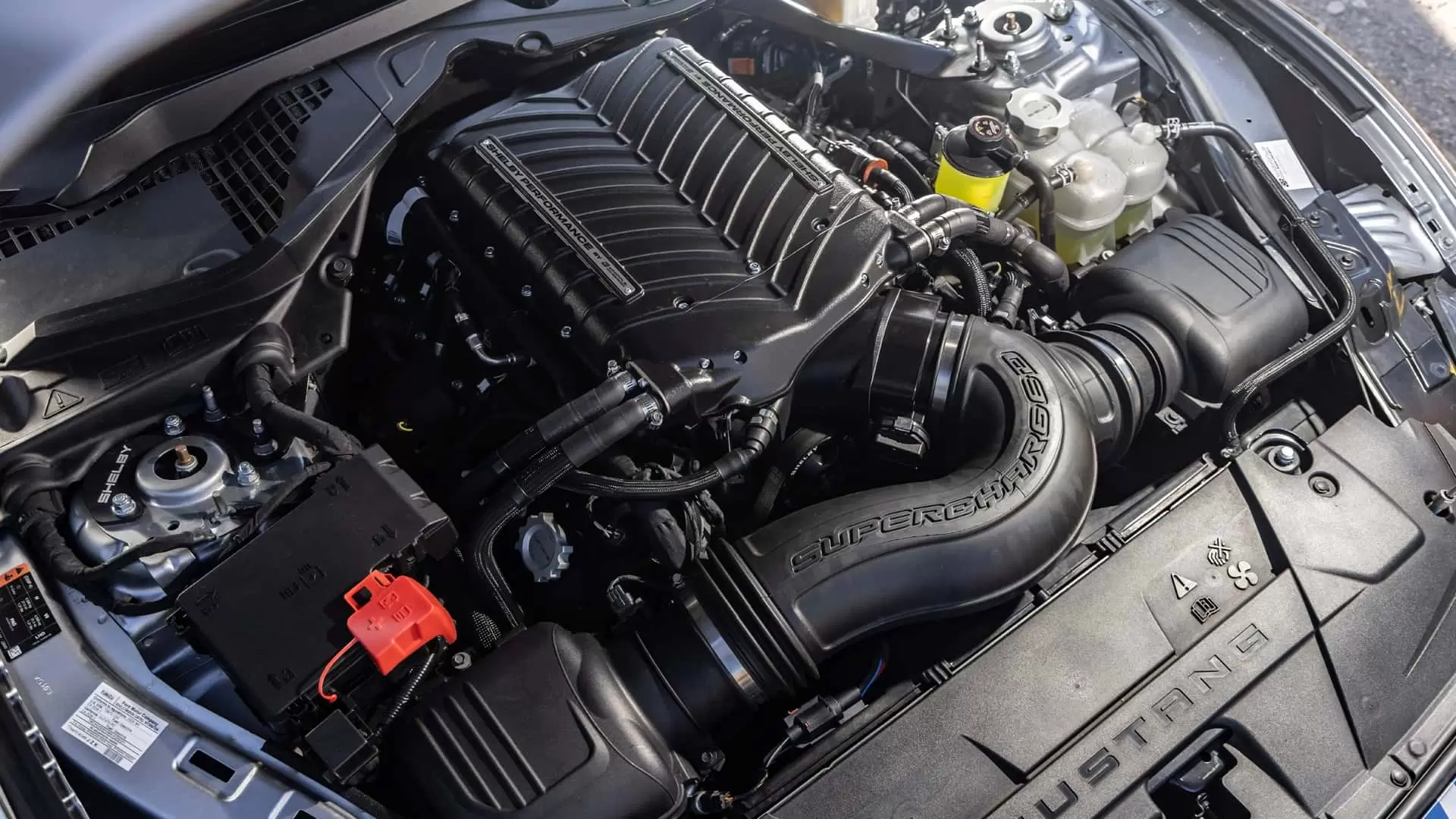 شيلبي سوبر سنيك ٢٠٢٦