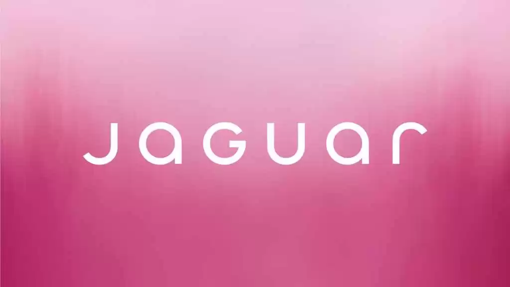 رئيس التصميم جيري مكغفرن يغادر مجموعة جاكوار لاند روفر