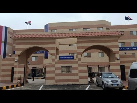 تجديد رخصة القيادة