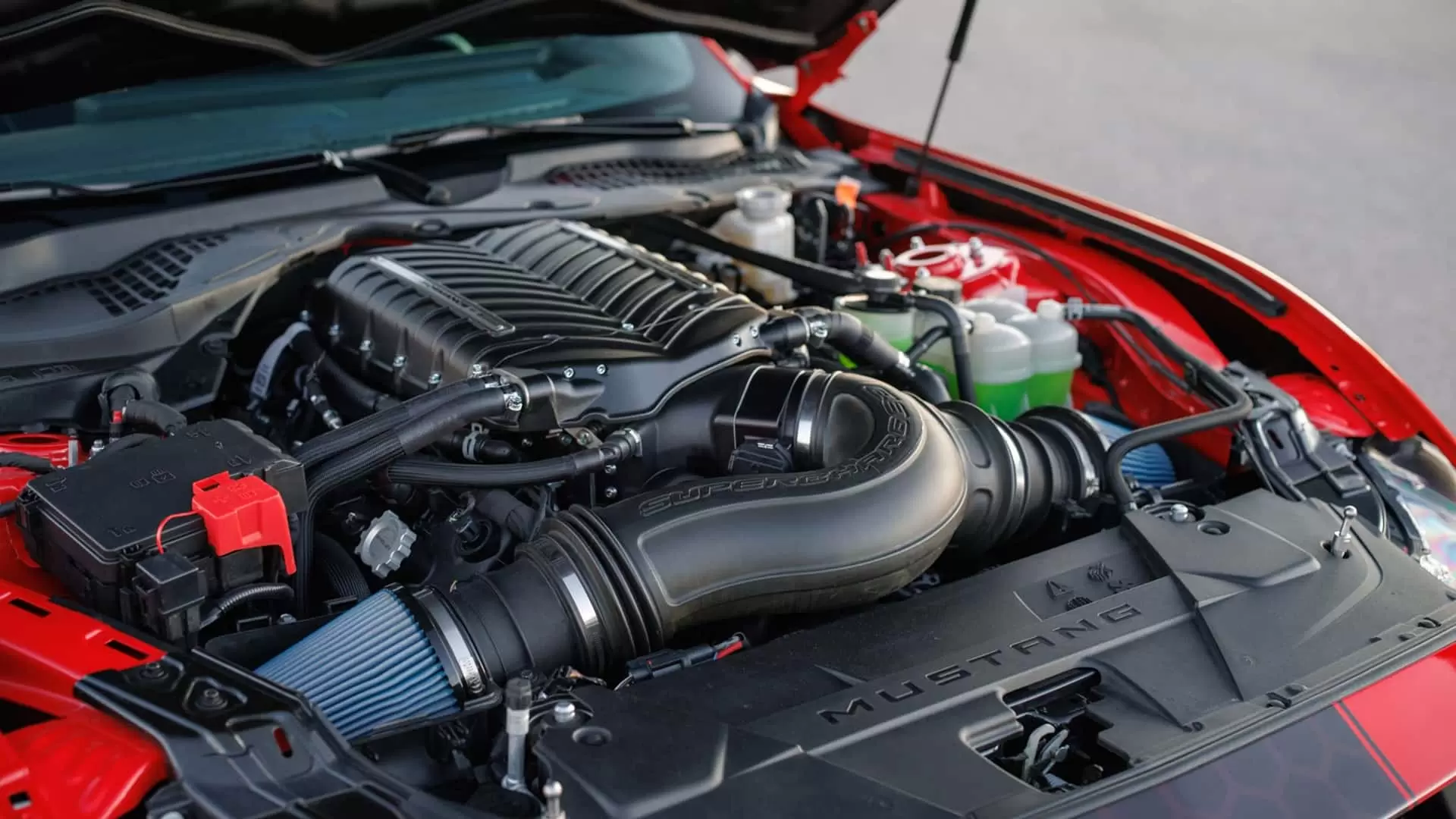 2026 shelby super snake r mustang