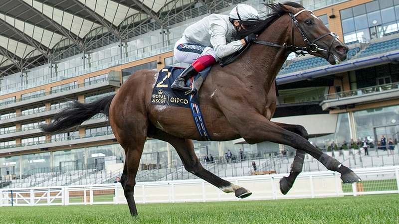 Dubai World Cup 2025